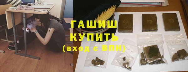 хмурый Алексин