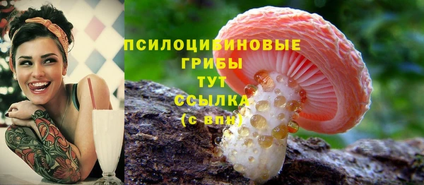 хмурый Алексин