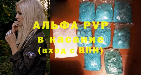 хмурый Алексин