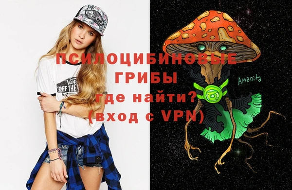 спиды Алзамай