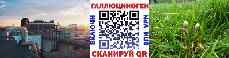 Псилоцибиновые грибы Psilocybine cubensis площадка официальный сайт Тара